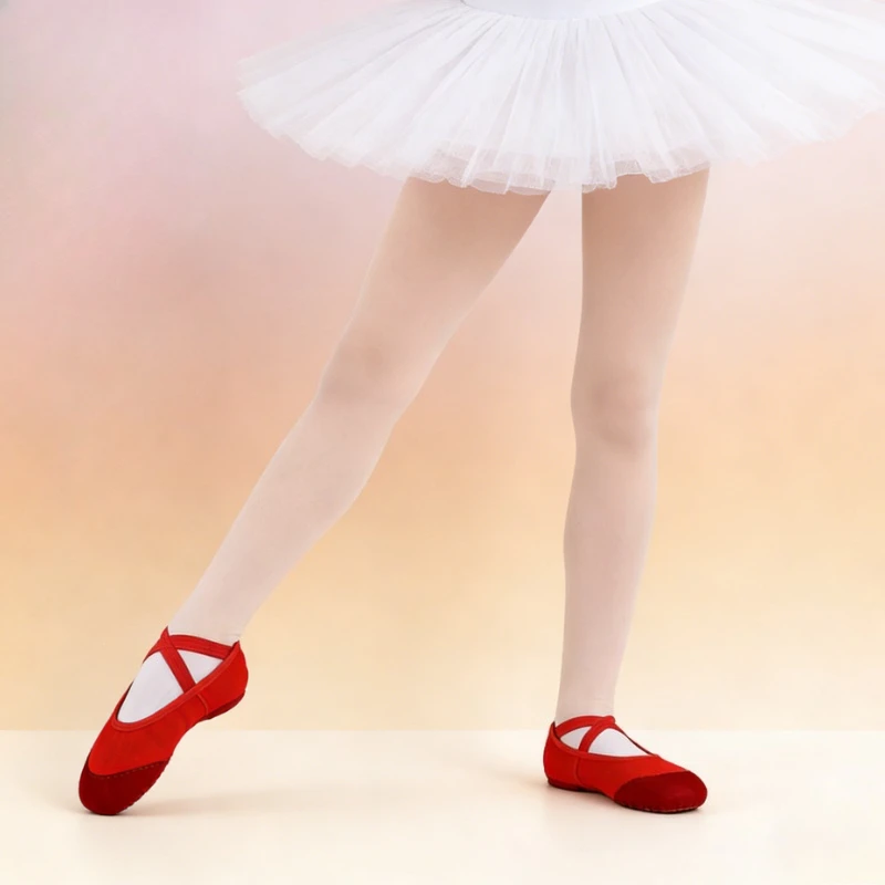 

Ballet Shoes for Girls Ladies Soft Sole Leather Canvas Upper Professional Ballet Flats for Dance Ballerina Shoes