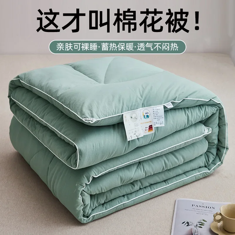 2024 new minimalist pure cotton Xinjiang cotton quilt winter quilt core spring and autumn quilt universal in all seasons