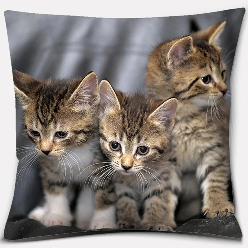 Cute Cat Series pattern Double-sided Printed pillow cover Short plush Suitable living rooms bedrooms sofas throw cushion cover