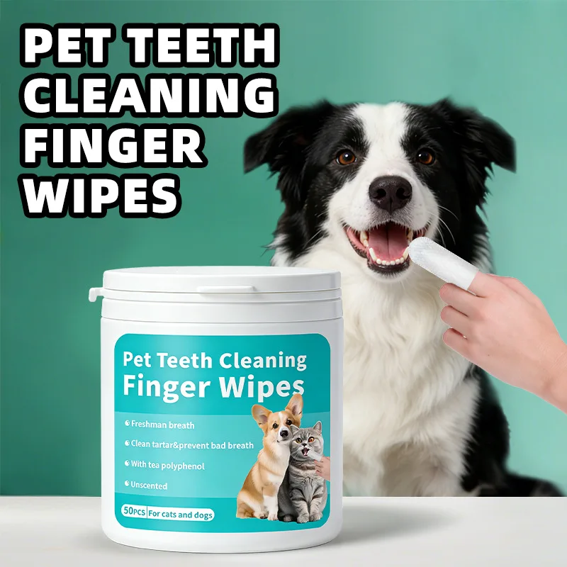 Produtos para limpeza de dentes de animais de estimação, escova de dentes descartável, lenços umedecidos para dedos, cuidados orais para cães e gatos
