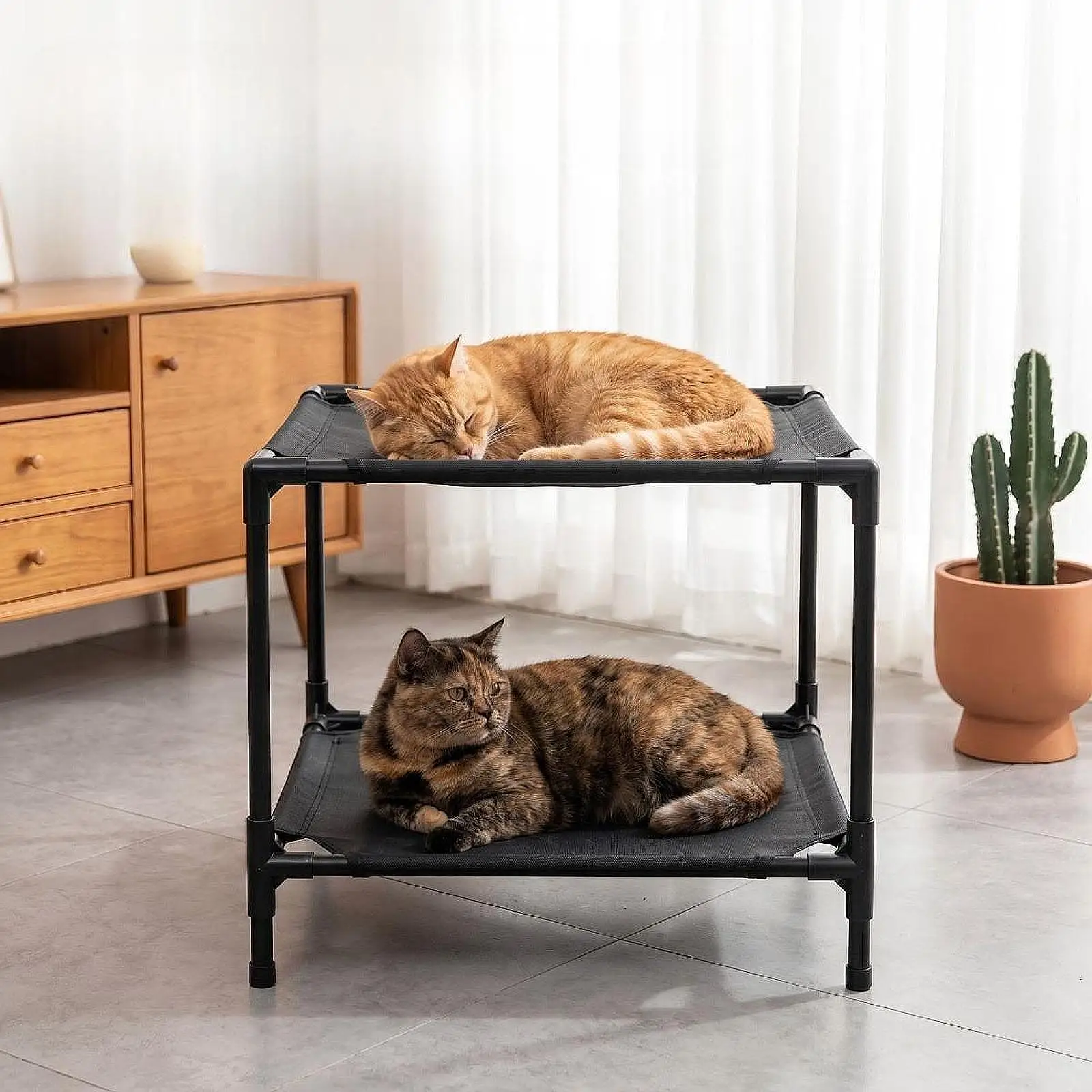 Lit double surélevé pour animaux de compagnie, deux niveaux, facile à nettoyer, cadre amovible et lavable, pour fenêtre, pour chat et chien
