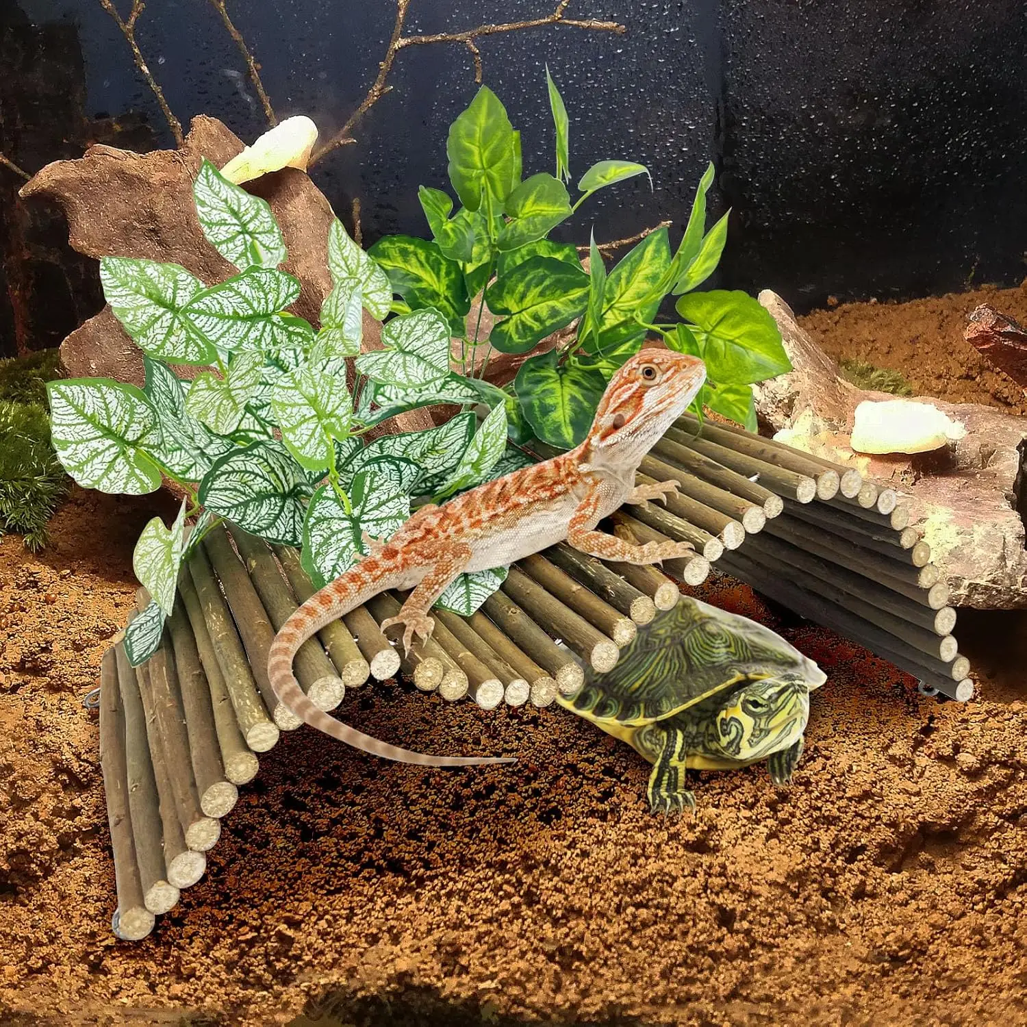 

Large Reptile Hide Tortoise Hideout Bearded Dragon Wooden Bridge Snake Climbing Tunnel Habitat Decor for Lizards Spiders