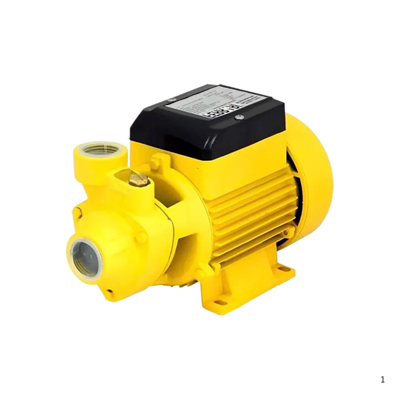DC self-priming pump 110v130v127v220v vortex pump