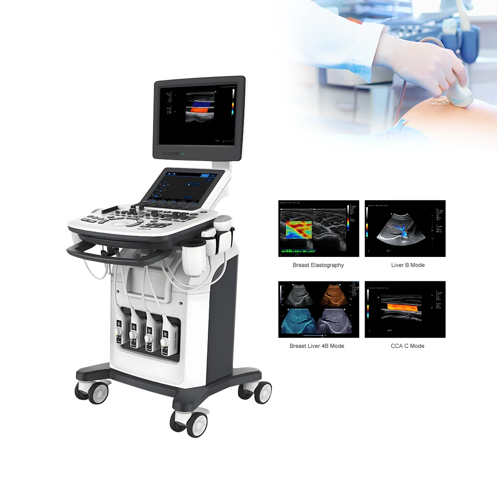 Medical Animal Veterinary Instrument Ultrasound Machine Price for Vet Ultrasound Pregnancy Scanner