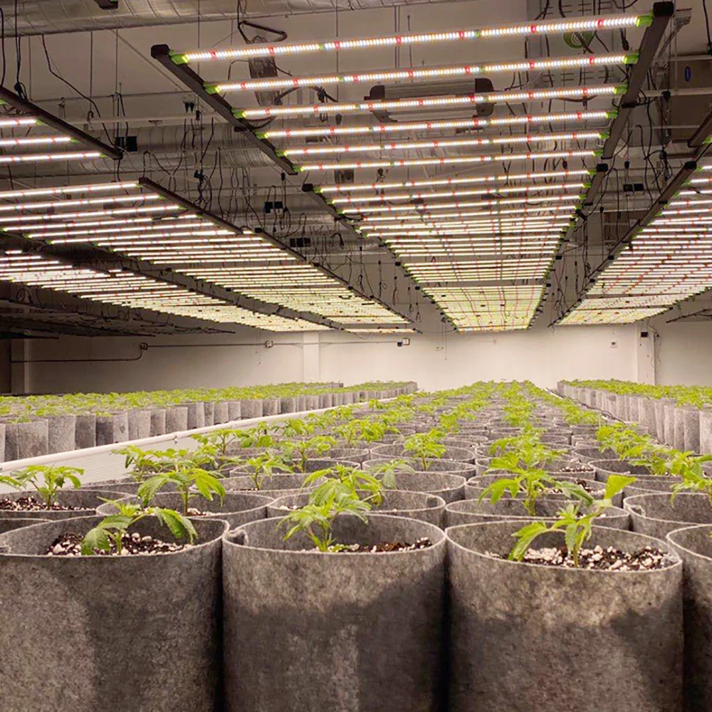 Full Spectrum Horti…