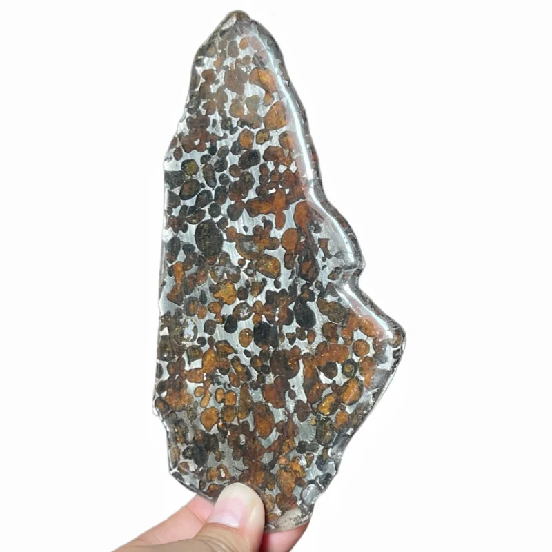 Natural Sericho Pallasite Meteorite Polished Irregular Slice Transparent Olivine Crystal Space Collectible QA877