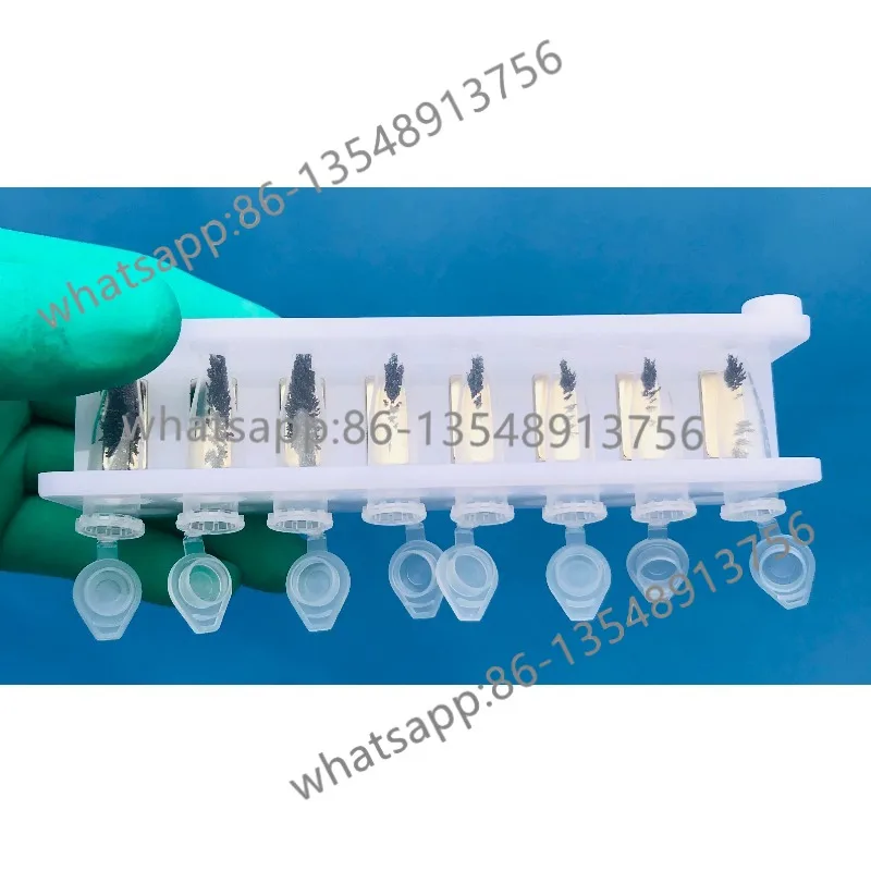 

Магнитная подставка для центрифужных пробирок Магнитная подставка для центрифужных пробирок Экстракция ДНК