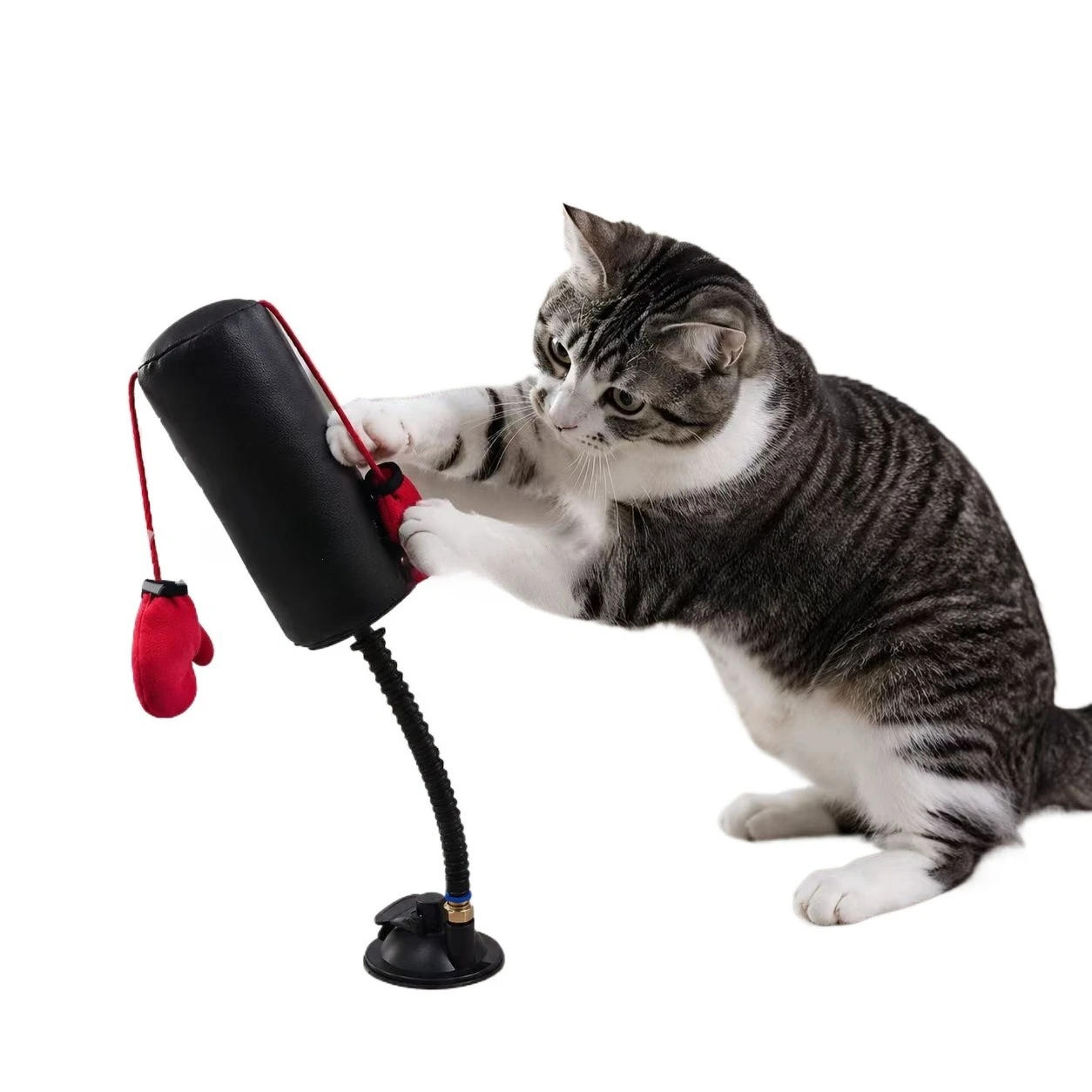 New Cat-entertaining Toy Cat Boxing Game Multi-functional Interactive Cat Boxing Toy