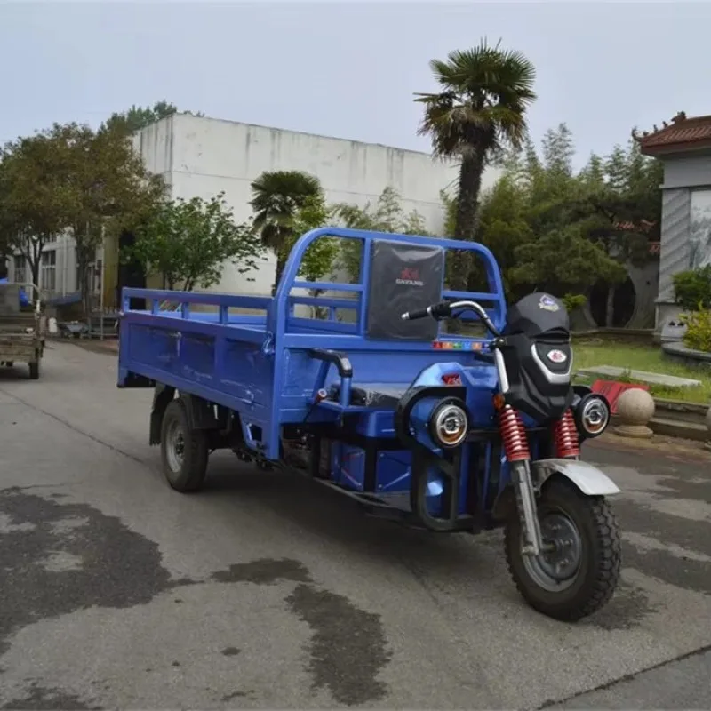 Hill Area Electric Tricycle Powerful Motor Good Climbing Three Wheel Electric Cargo Vehicle Farm Mountain Road Goods Long Range