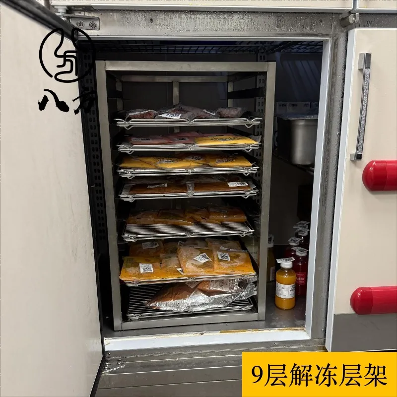 Four-door Refrigerator Vegetable Library Thawing Rack, Nine-layer Stainless Steel Rack 1/1 Grid Rack