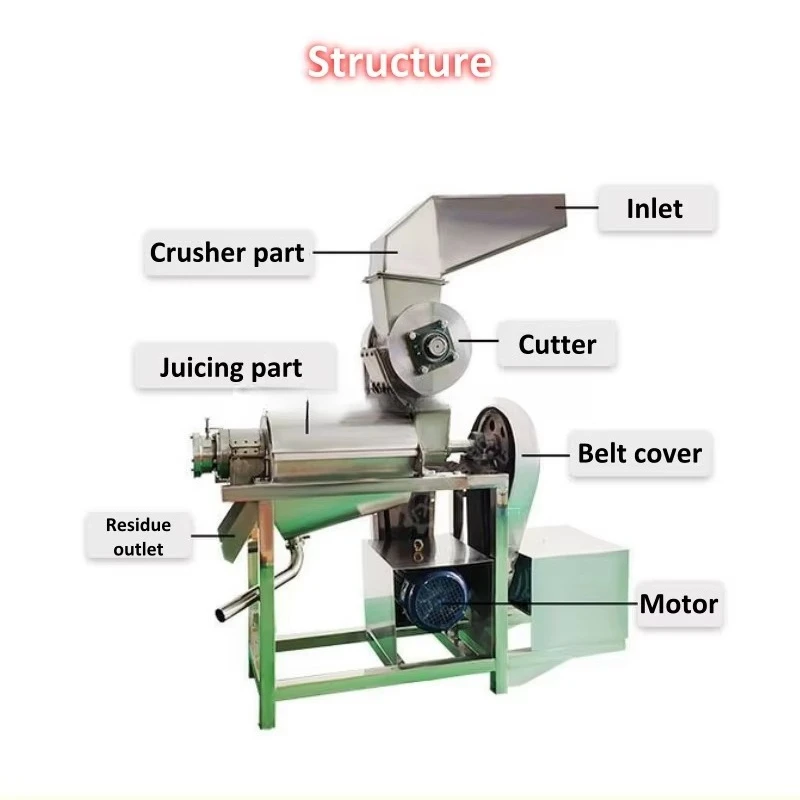 Automatic Fruit and Vegetable Juice Extractor Machine Sea Buckthorn Orange Beater Guava Jucing Machine with the Best Price shi