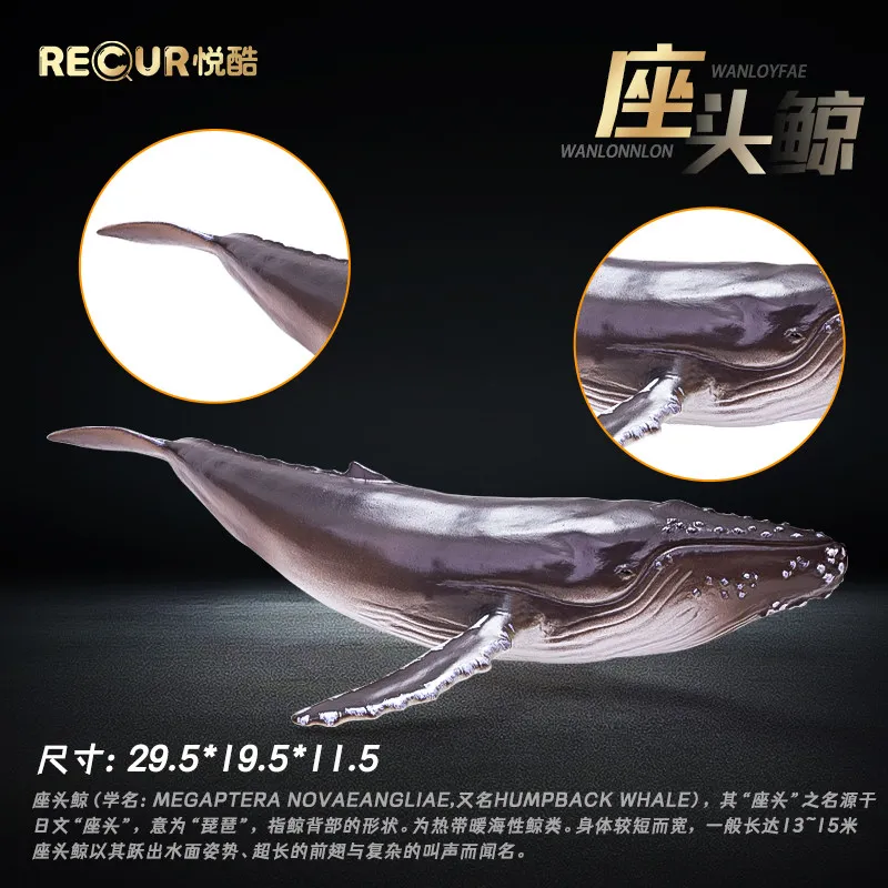 RECUR Humpback Whale Toy Soft Rubber Realistic Marine Animal Model Simulation Ocean Creature Figurine For Collection Home Decor