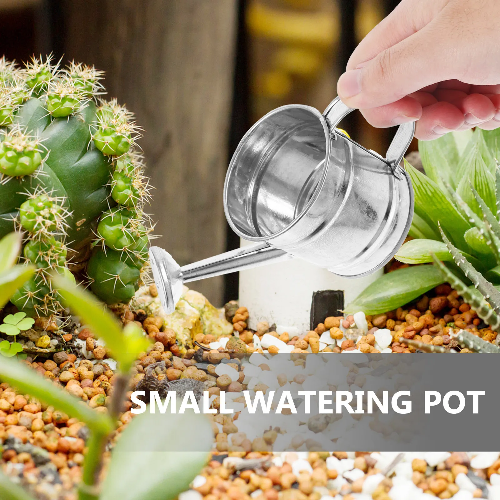 5Pcs Mini Iron Watering Cans Exquisite Small Watering Pots for Mini House Gardening Micro Garden Decor Creative Accessory