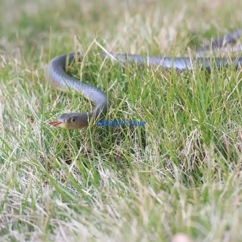 

Q0KB Новинка, реалистичная игрушка-шутка в виде змеи, клипса на змею, погоня за человеком, игрушка-шутка, интересная со змеей,