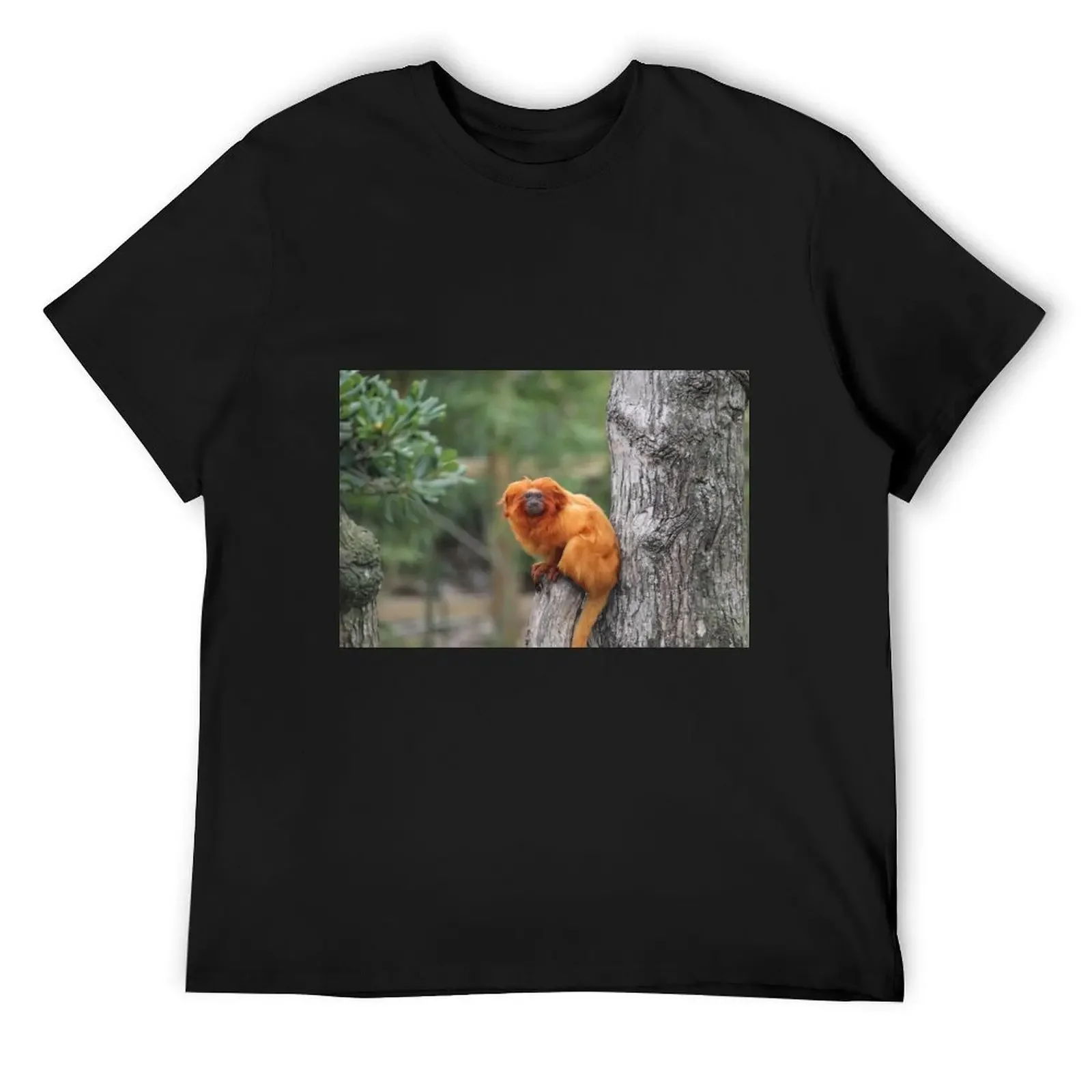 

Golden Lion Tamarin T-Shirt customs luxury clothing labubu tshirts personalised anime men clothes