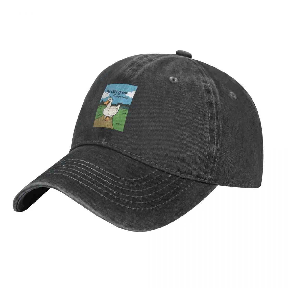 The Silly Goose by Tori Jurgens Huebsch Cowboy Hat Brand Man cap dad hat Fluffy Hat Golf Men Women's