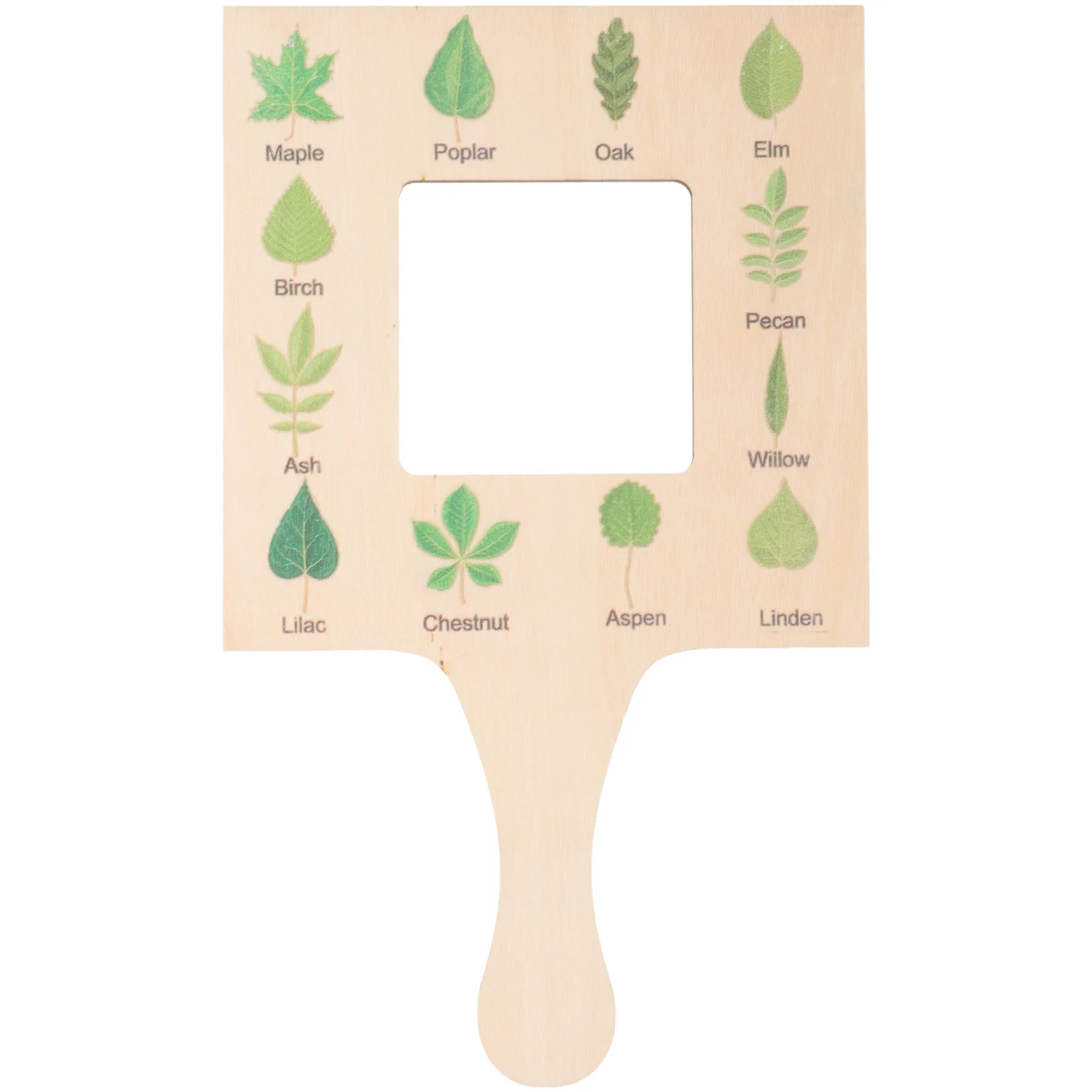 Nature Guide Sturdy Wood Cloud Viewer Nature Identification Outdoor Observation Frame