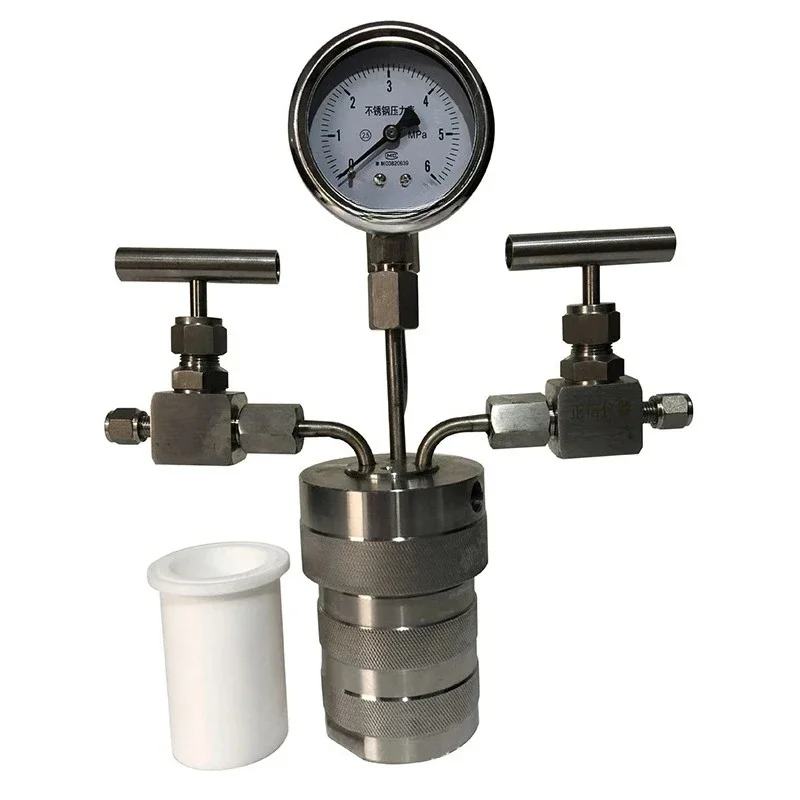 100ML Gas Connection Type Hydrothermal Synthesis Reactor Hydrogenation EPF-100ML Stainless Steel Reactor Tools
