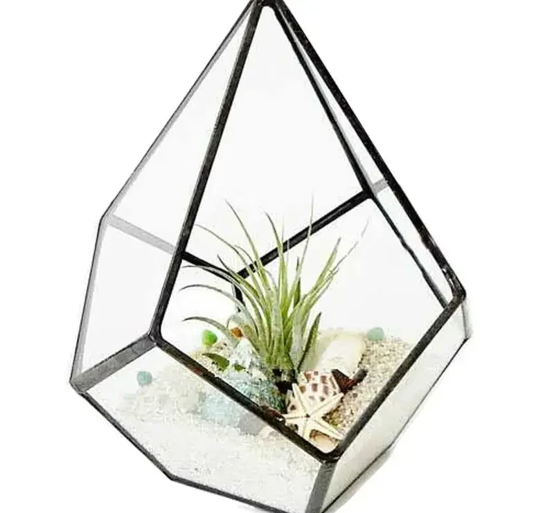 Eternal Flower Box Display Stand Succulent Pot Plant Glass Vase Flowerpot Micro Landscape Garden Pots Decorative