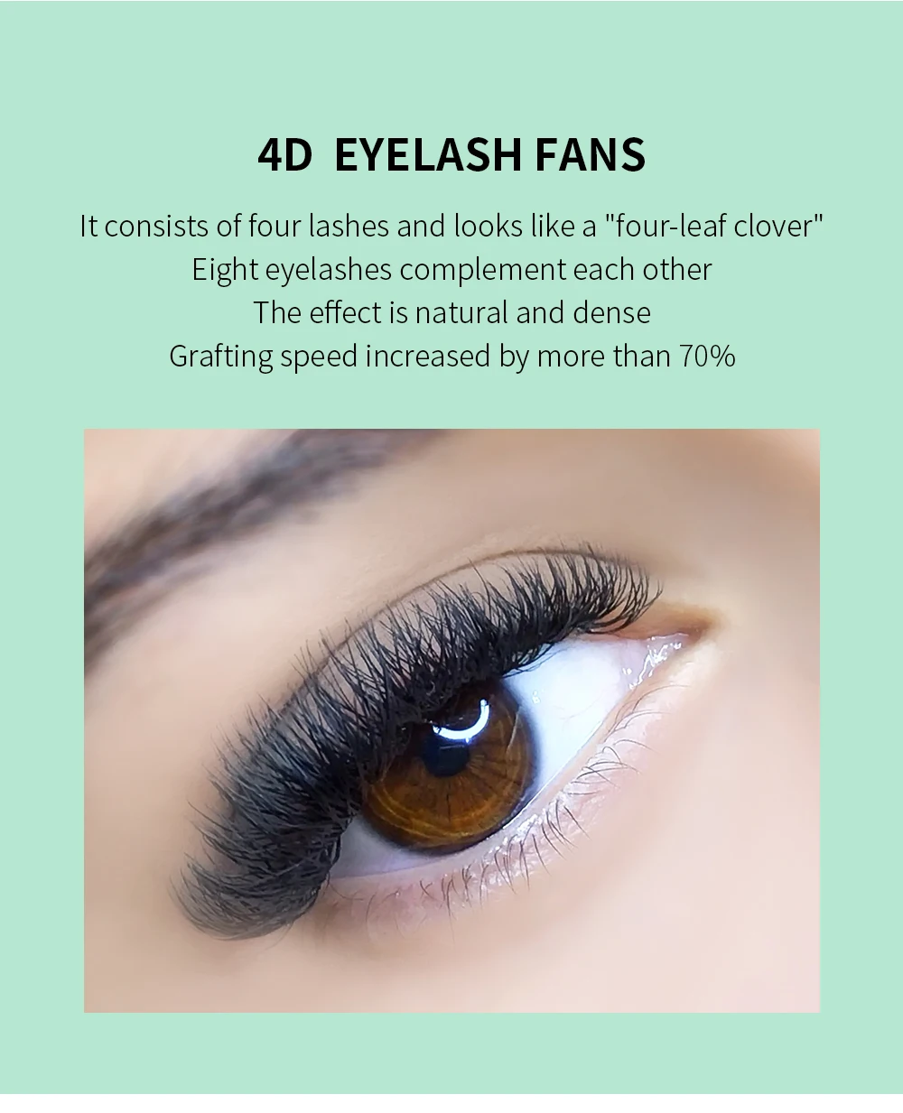 GLAMLASH 3D4D5D6D7D8D W Wimpern C/D/L/LU/M Vorgefertigte Volumenfächer Braune Wimpernverlängerungen Natürlich weich – Detail 29