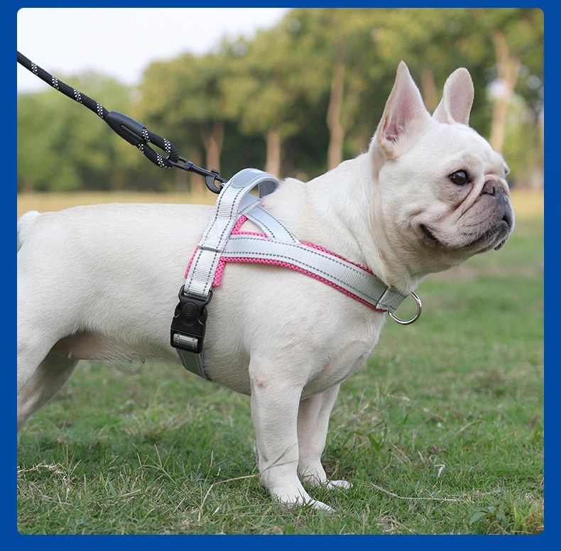 Hunde-Haustier-Brustgeschirr, breites Gurtband, zweifarbig, kontrastierend, vier Seadon-Hundegeschirr, Nylongriff, Outdoor-Hundegeschirr, reflektierend – Detail 16