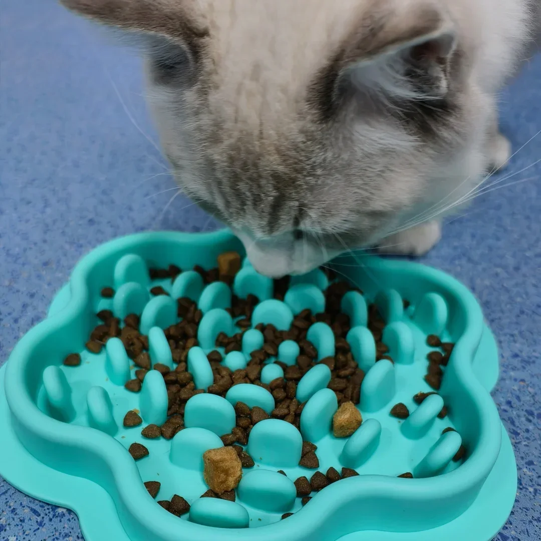 Thumbnail 3 - #20 Latest Pet Bowl Mats Offers