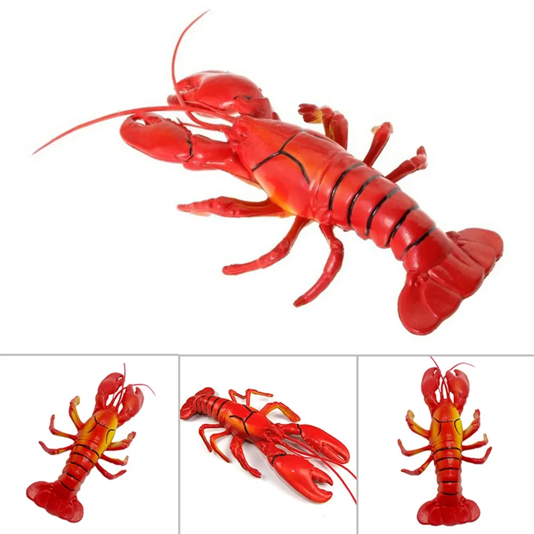 จําลองกุ้ง 14x5 นิ้วปลอมกุ้งก้ามกรามสําหรับจอแสดงผลประดิษฐ์สัตว์ทะเลตกแต่งการผลิตชุดน้ํา