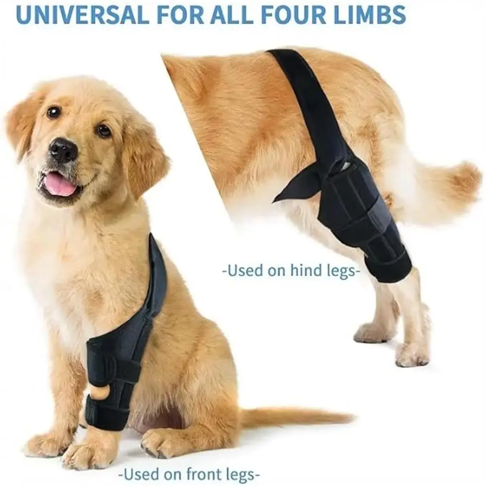 Comfortable Supportive Knee Brace for Dogs with Torn ACL Adjustable for Large Sized Hind Legs Improved Fit and Stability