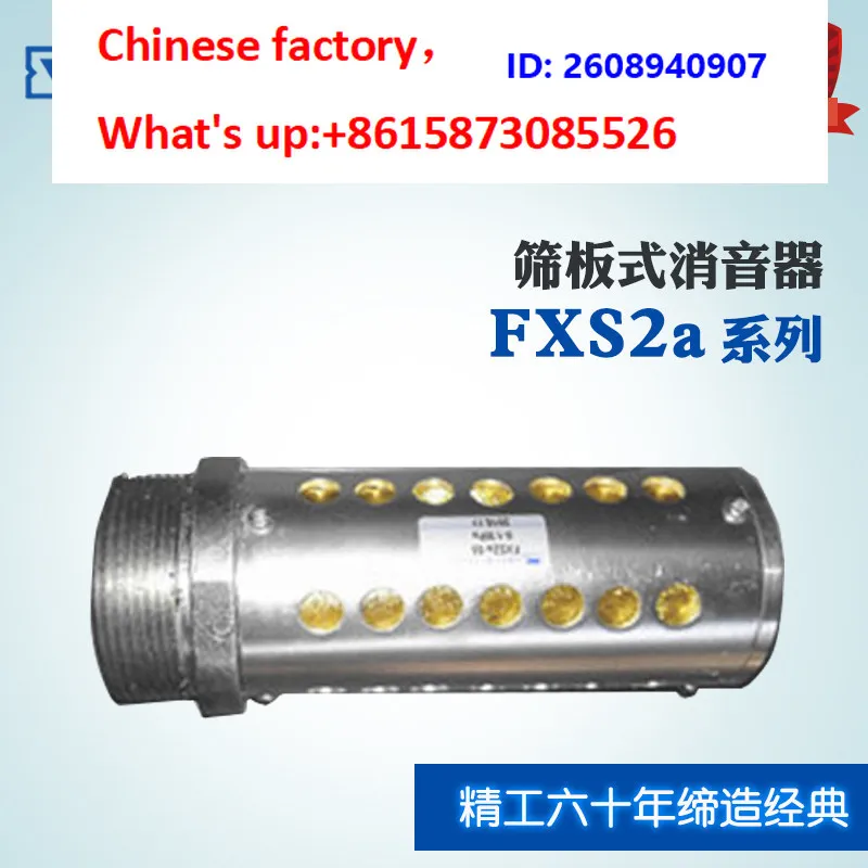 Huatong Pneumatic Screen Plate FXS2a-L50 M60 * 2 Muffler Soundproofing and Noise Reduction Device with One Year Warranty