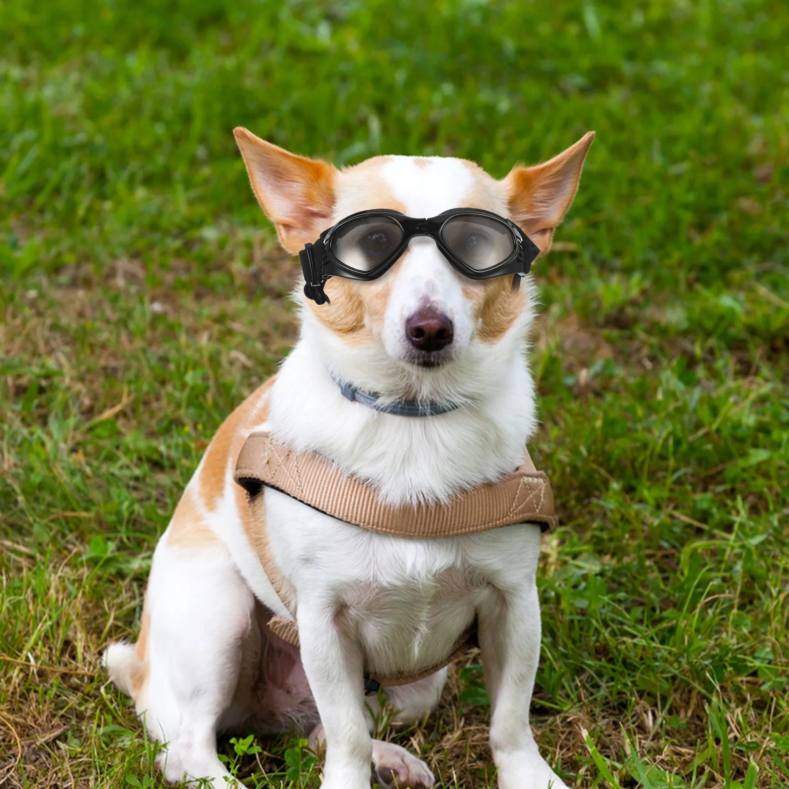 

Pet Glasses Uv Protection Foldable Dog Goggles for Small Medium Large Breeds Waterproof Windproof Adjustable Straps