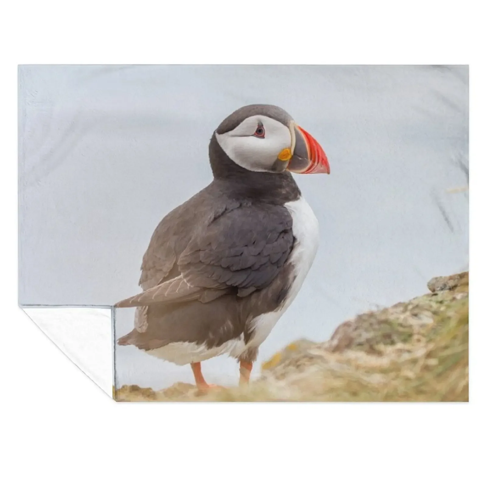 

Atlantic Puffin #1 Throw Blanket Vintage Multi-Purpose Picnic valentine gift ideas Blankets