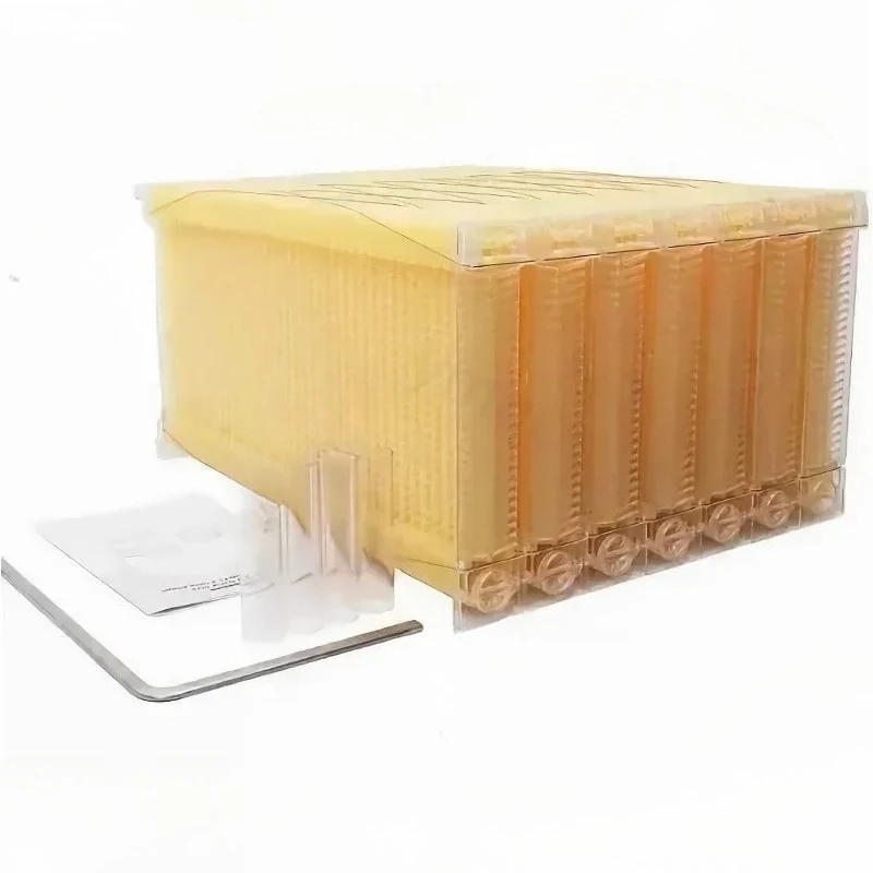 Wax impregnation process Solid wood Golden Automatic Hive 2 Beehive 7Pcs Box Flows Frame