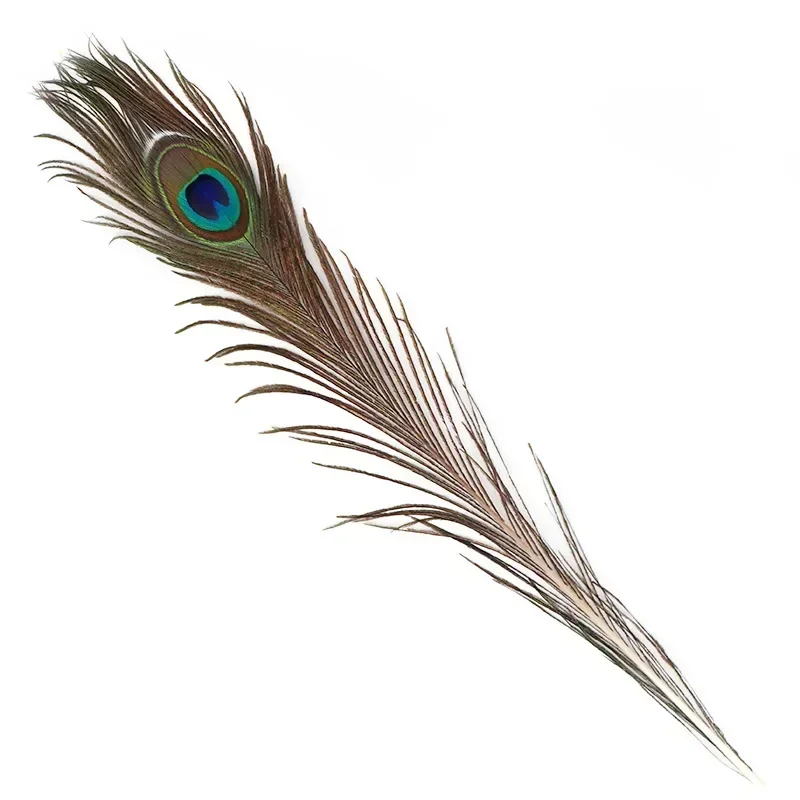 10PCS/lot Natural Peacock Feathers Burlesque Plumas De Faisan 16-18 Inches/40-45cm Mardi Gras Decorations Plume DIY For Decor