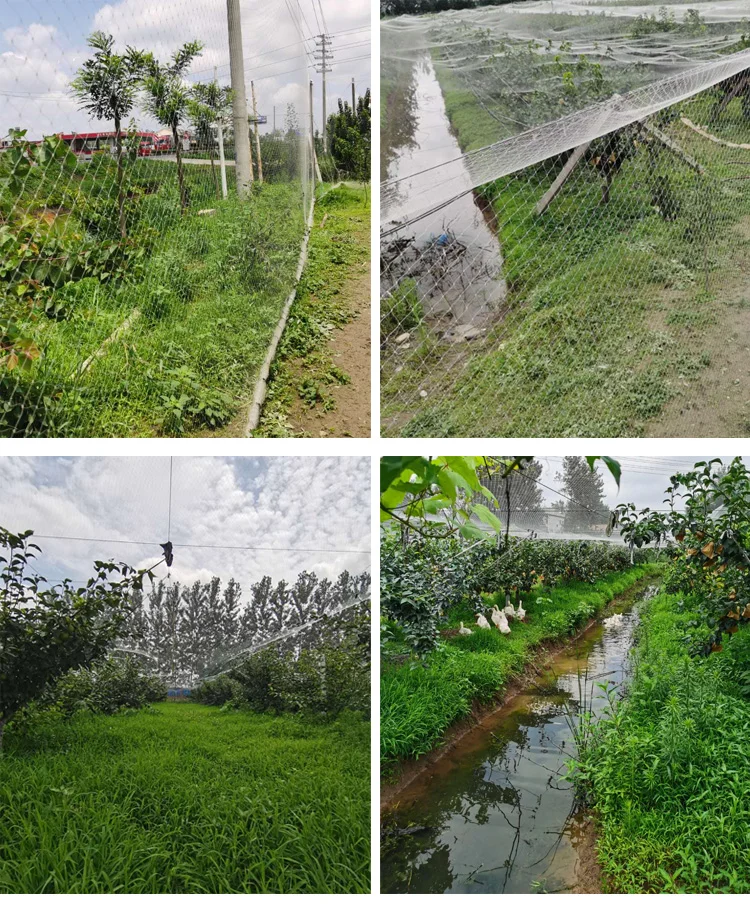 Heavy Duty Anti Bird Netting ,Nylon Deer Fence Netting, Garden Net and Crops Protective Fencing Mesh for Anti Bird Deer Cat Dog