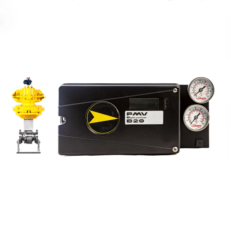 &* New And Original Flowserve Valve Positioner PMV D20 Digital Valve Positioner WIth Shanghai Dianjian Valve