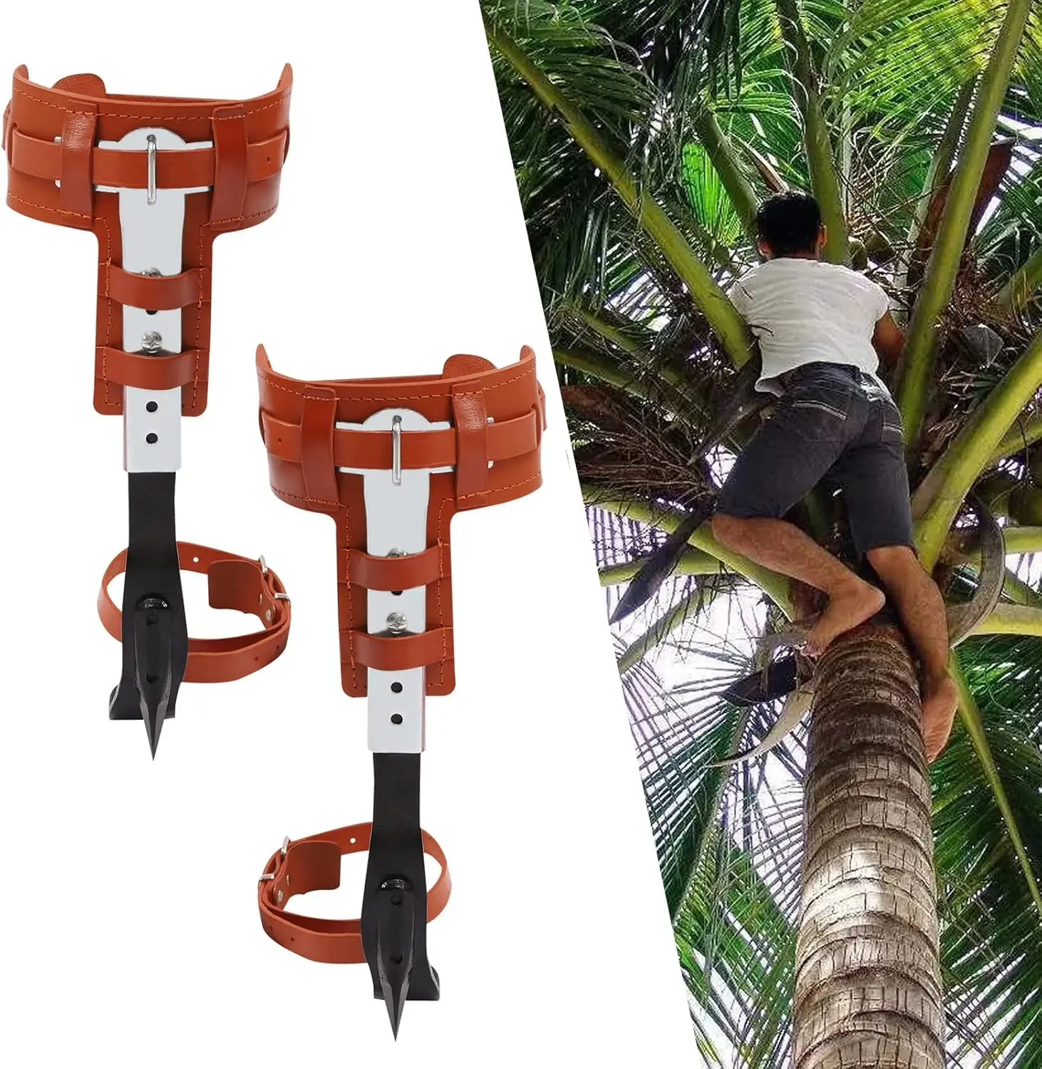 

Climbing Tree Spikes Stainless Steel Climbing Trees Gears with Cattle Hide Leggings Straps and Extra Multi-Functional Straps