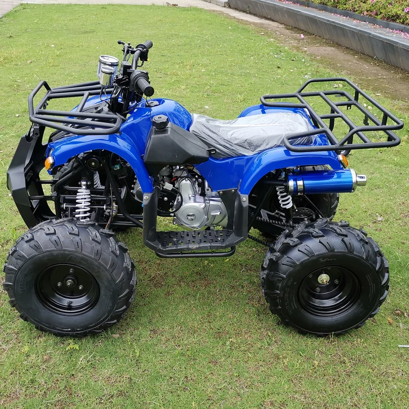 125CC 4-Stroke Automatic Chain Drive 2WD ATV Buggy All-Terrain Quad Bike