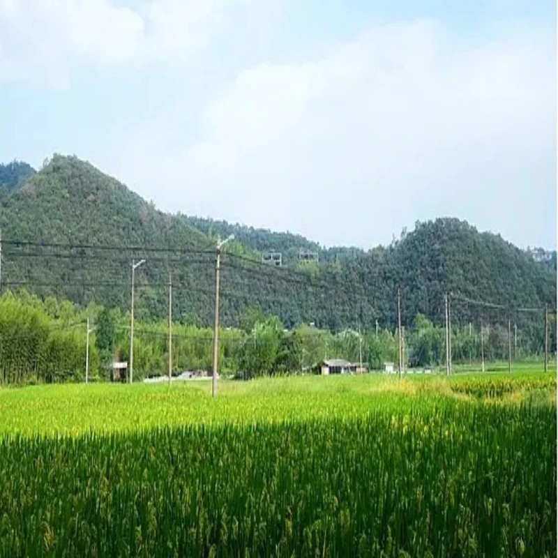 

HGLRC M80 PRO GPS чип 10-го поколения с тремя режимами позиционирования 3,3 В-5 В для гоночного дрона FPV RC Freestyle