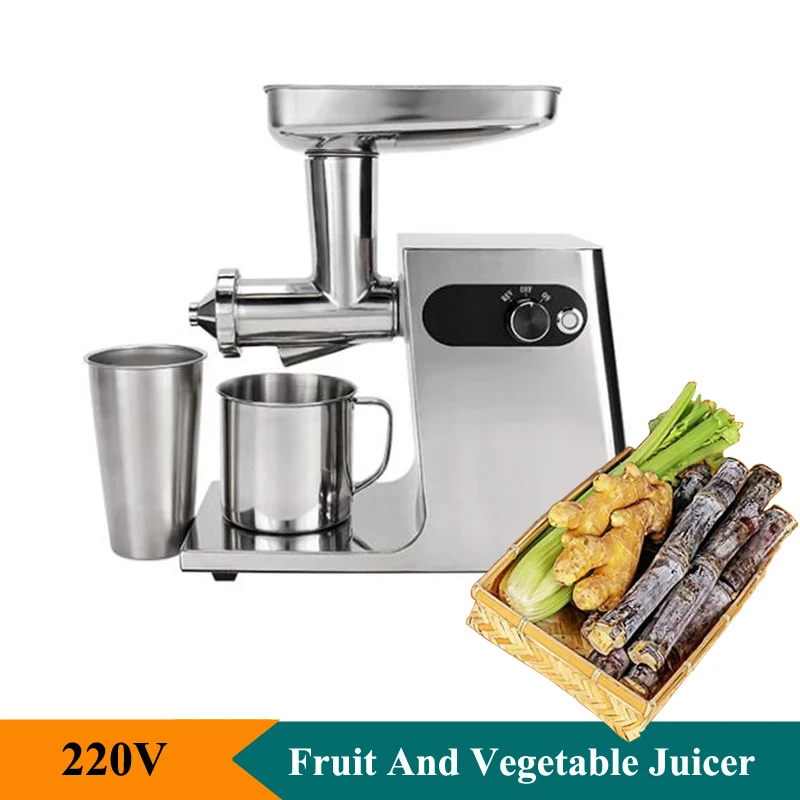 

200W Commercial Fruit And Vegetable Juicer Machine Ginger Juice Cane Juice Celery Juice All Stainless Steel Juicer Machine