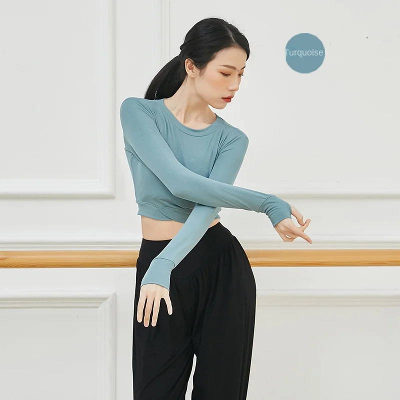Classical Dance Dance Wear Female Solid Color Thin Short-sleeved Blouse Women's Modern Dance Practice Clothes Tops