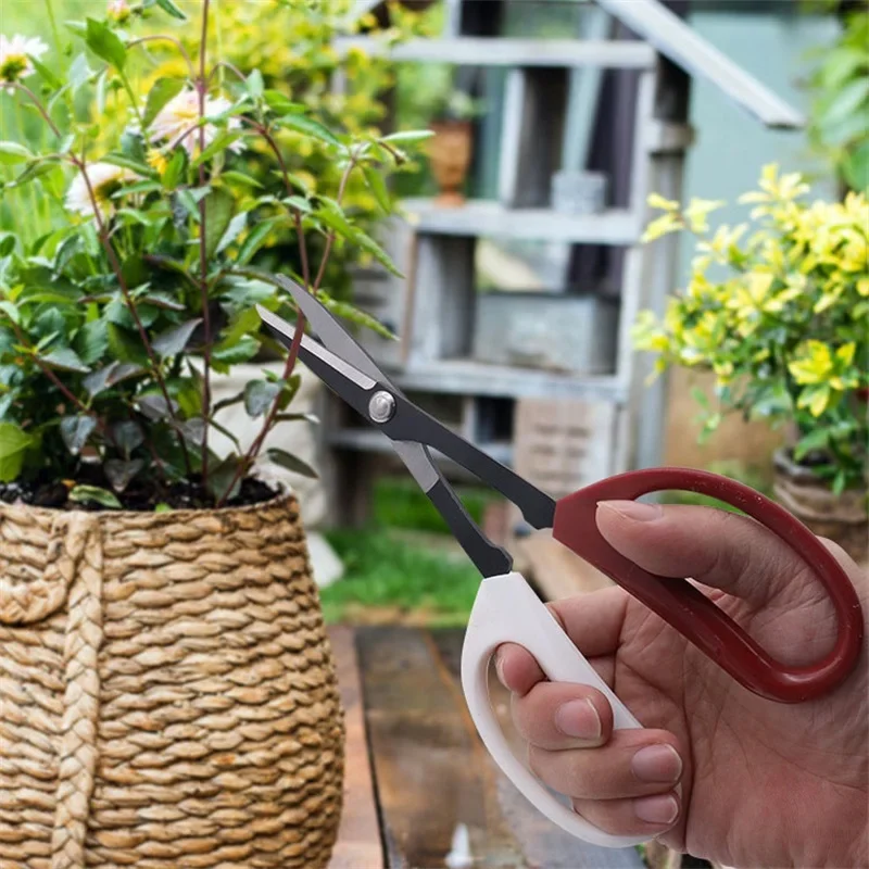 Bonsai-Werkzeug, Schere mit langem Griff, Gartenpflanze, Astschere, Gartenschere, Bonsai-Schere – Detail 5