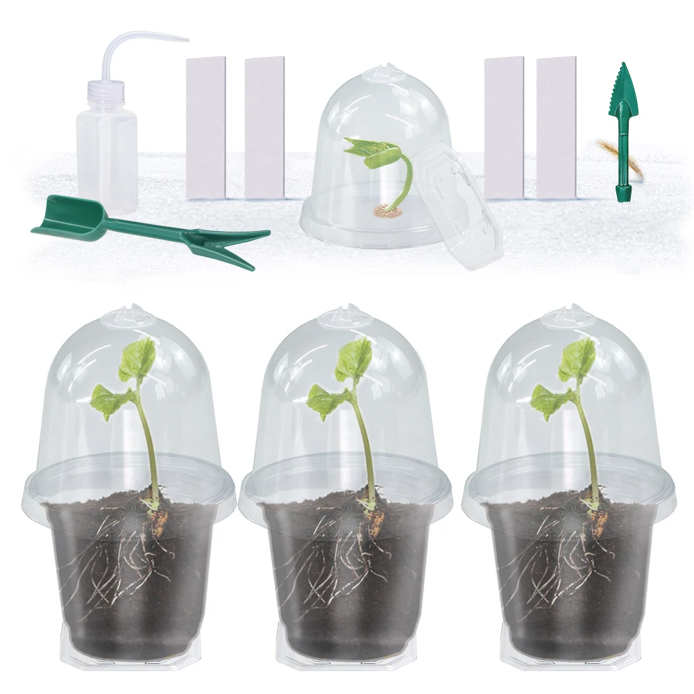 Plants Germination Cup with Humidity Dome Cover Transparent Box Garden Label Watering Can Kits Greenhouse Nursery PET Container