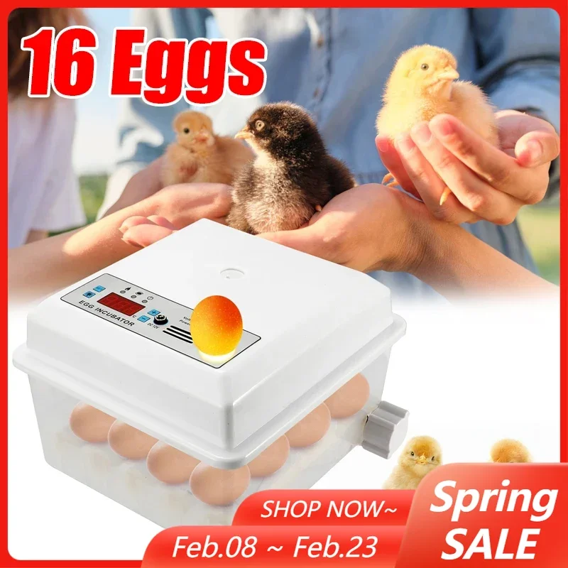 

Инкубатор для яиц, 16-яйцо, мини-автоматическая поворотная инкубационная машина для гуся, перепела, брудера, куриных яиц, инкубатор для трикоттеджа