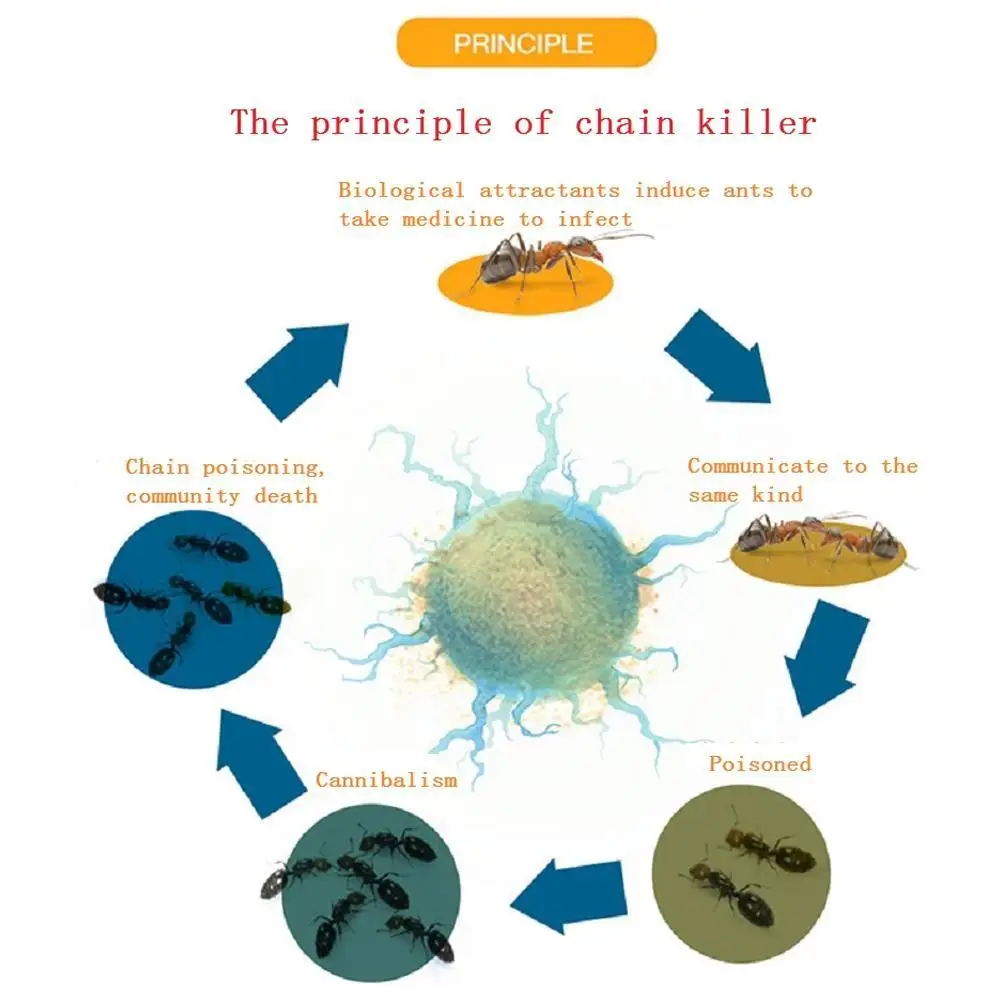 5pcs Strong Ant Killing Bait Powder Cockroach Insect Killing Yellow And Black Ants Scattered Around The Nest Removed Them