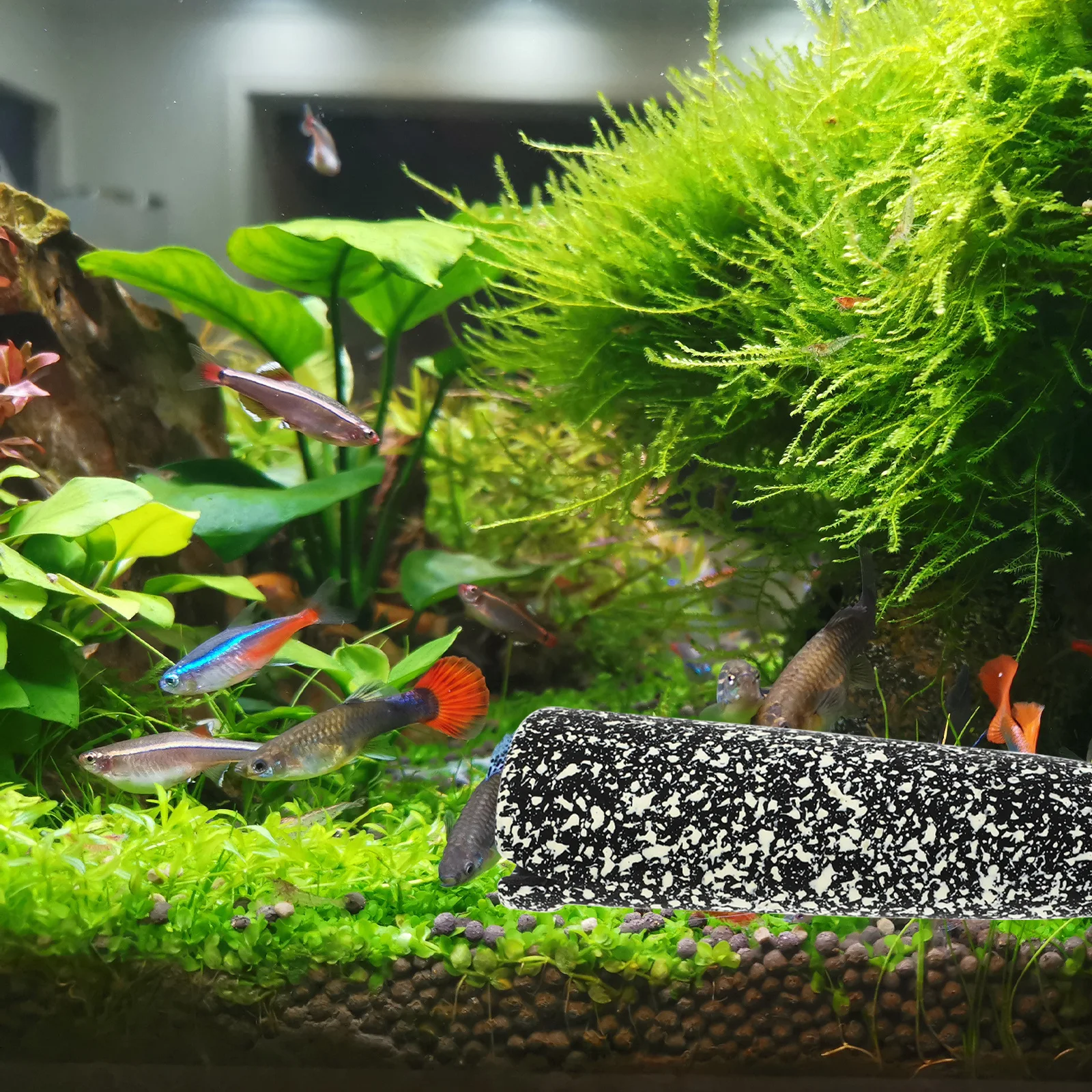 

Shrimp Habitat Aquarium Cave Ceramic Breeding Shelter Decorative Tank Accessory for Minnows Hiding Play Unique Shape Visual