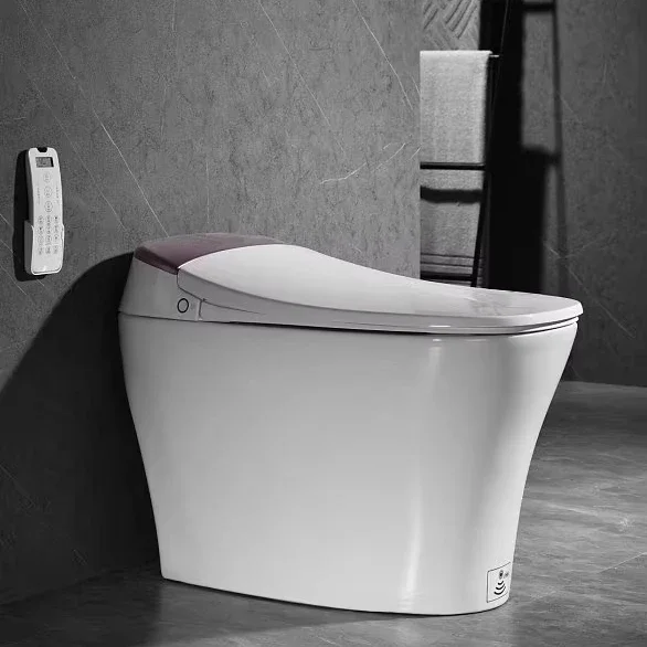 

SUNDREAM WC Intelligente Latest Smart Toilet Toilet Smart Multiple Color Options S-trap Floor Mounted Smart Toilet Black