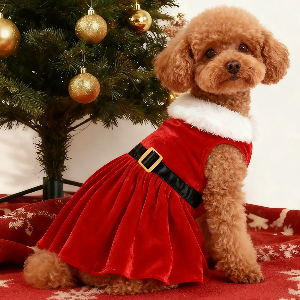 Christmas Pet Costume For Small Medium Dogs Cats Santa Claus