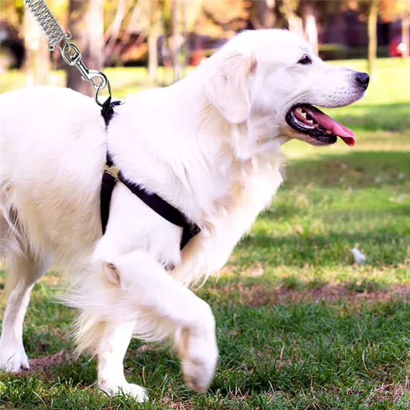 ABKP-Dog Tie Out Cable Dog Runner For Yard Steel Wire Dog Leash With Superior Spring Large Dog Running In Outdoor