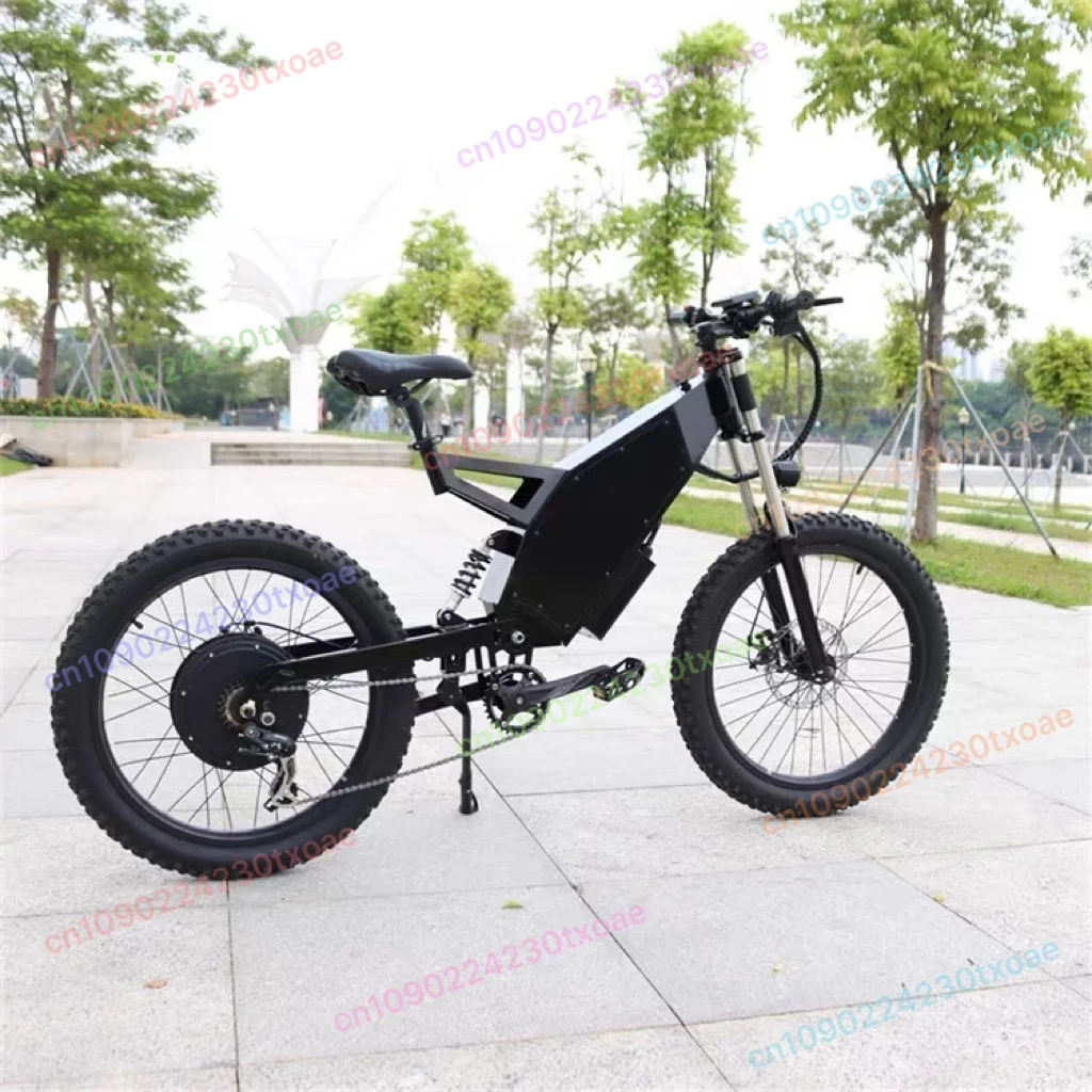 48V 2000W Electric Bike High Speed Off Road Mountain E Bike Eco Friendly Green Urban Ride