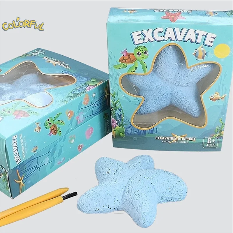 Handgemaakt speelgoed voor jongen meisje geschenken zeester zeeleven edelsteen graven kit archeologische opgraving speelgoed kinderen wetenschap kit